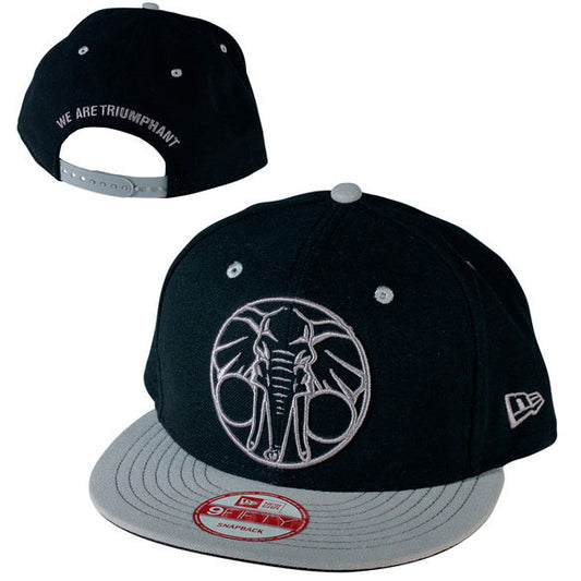 We Are Triumphant Logo Baseball Cap Front