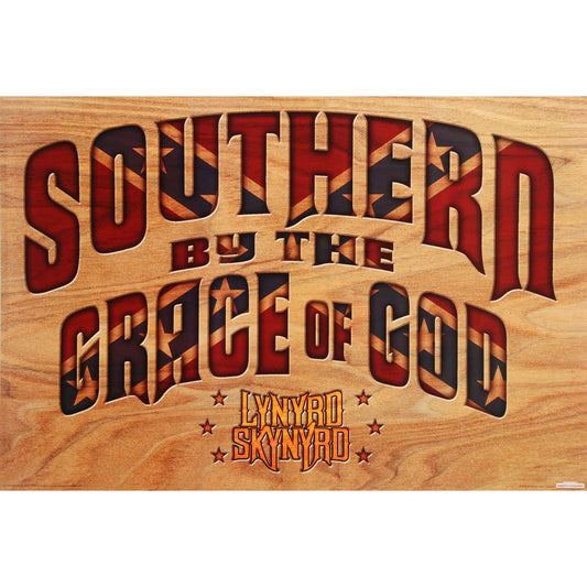 Lynyrd Skynyrd Southern By The Grace Domestic Poster