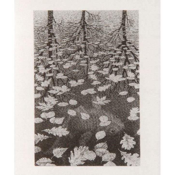 Three Worlds Domestic Poster