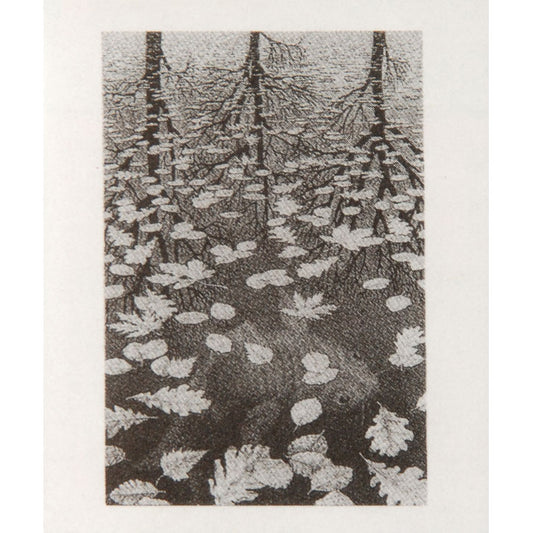 M.C. Escher Three Worlds Domestic Poster