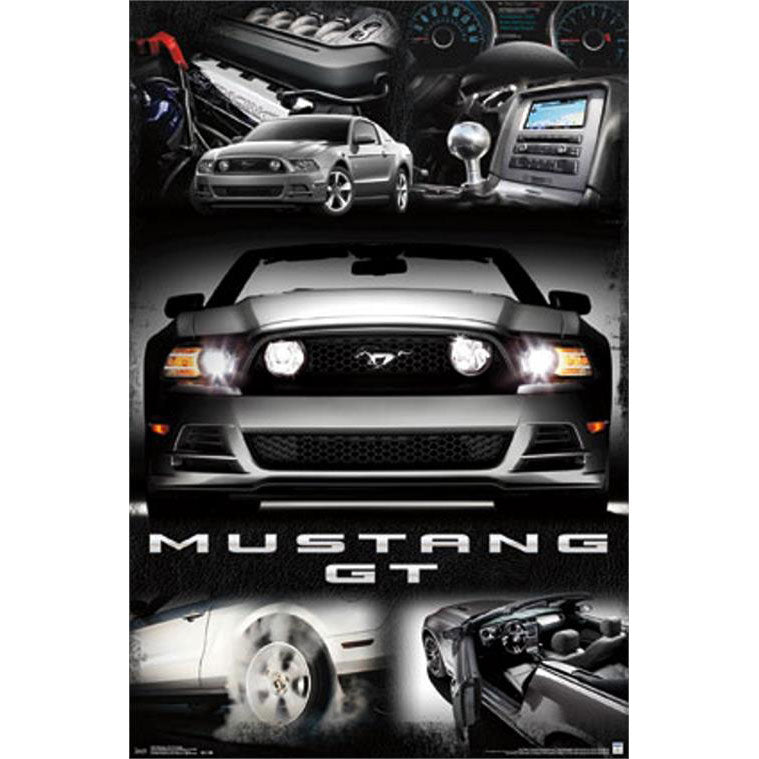 Ford Mustang Domestic Poster