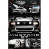 Mustang Domestic Poster