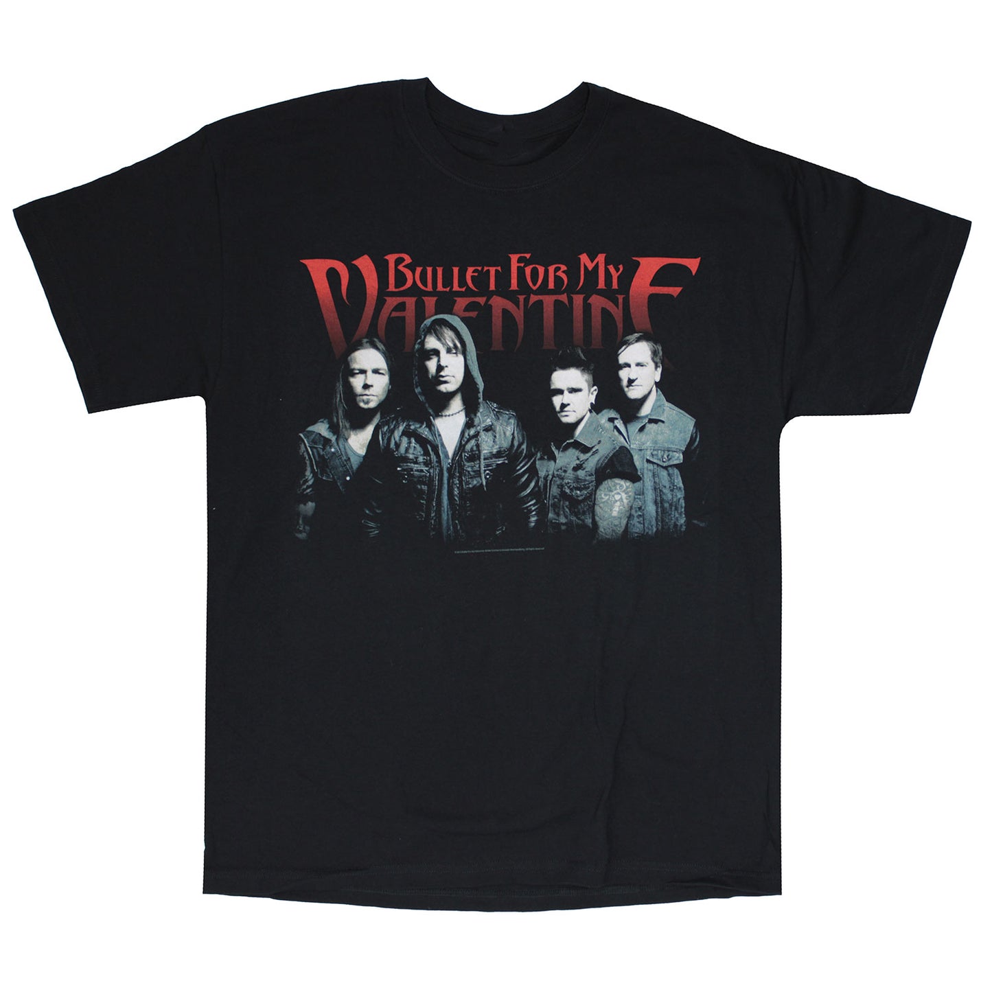 Group Shot 2013 U.S. Tour T-shirt