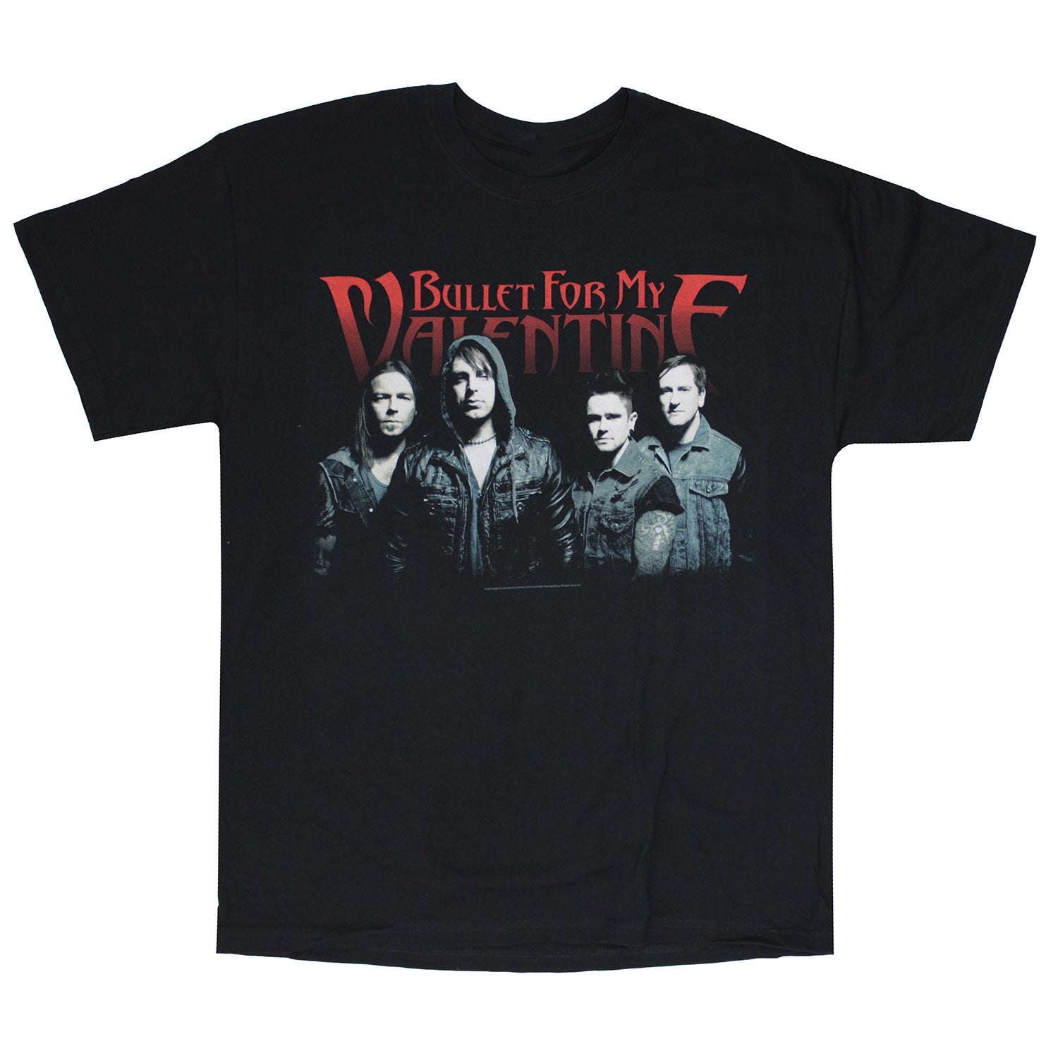 Group Shot 2013 U.S. Tour T-shirt