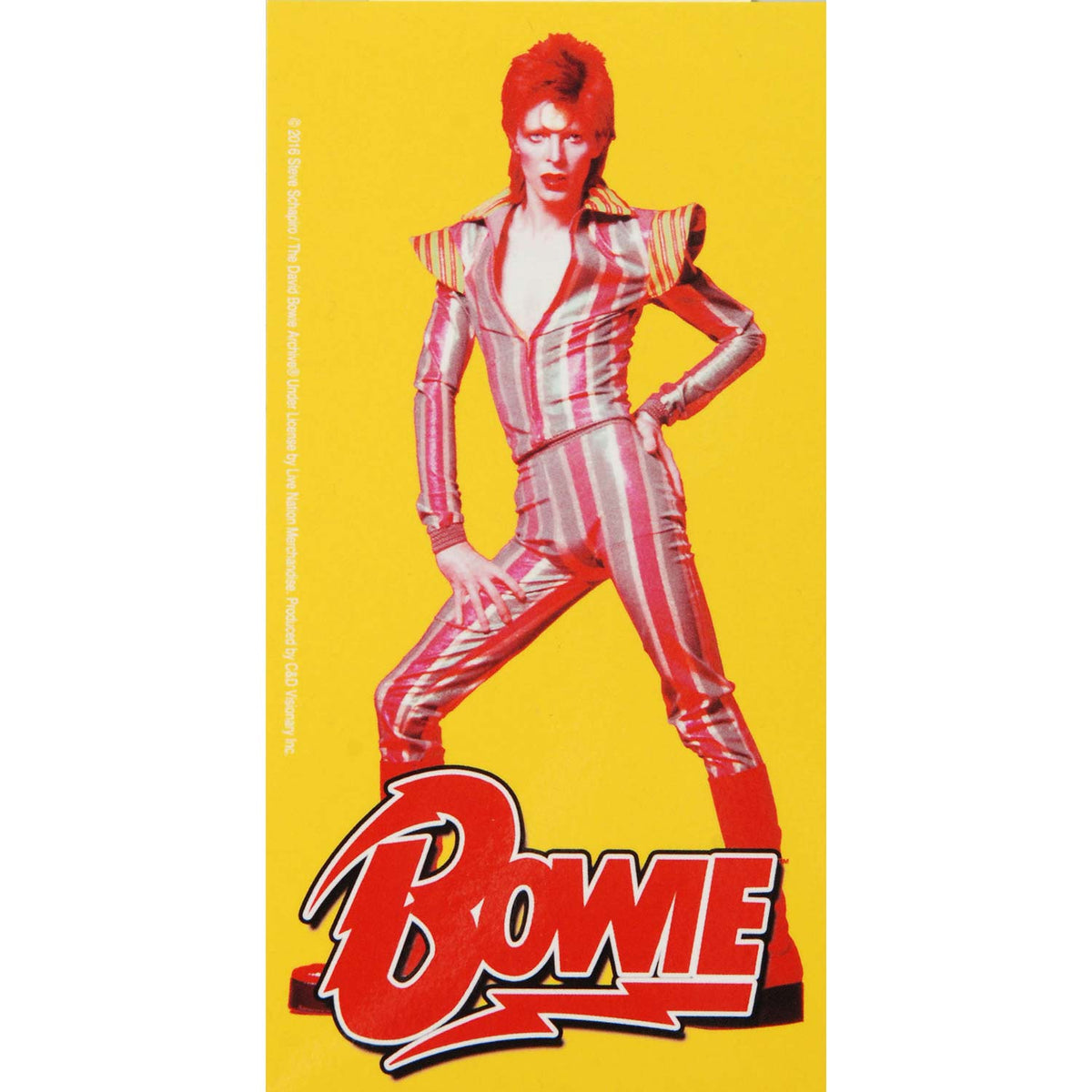 David Bowie Pose Sticker Front