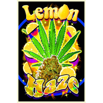 Novelty Lemon Haze Blacklight