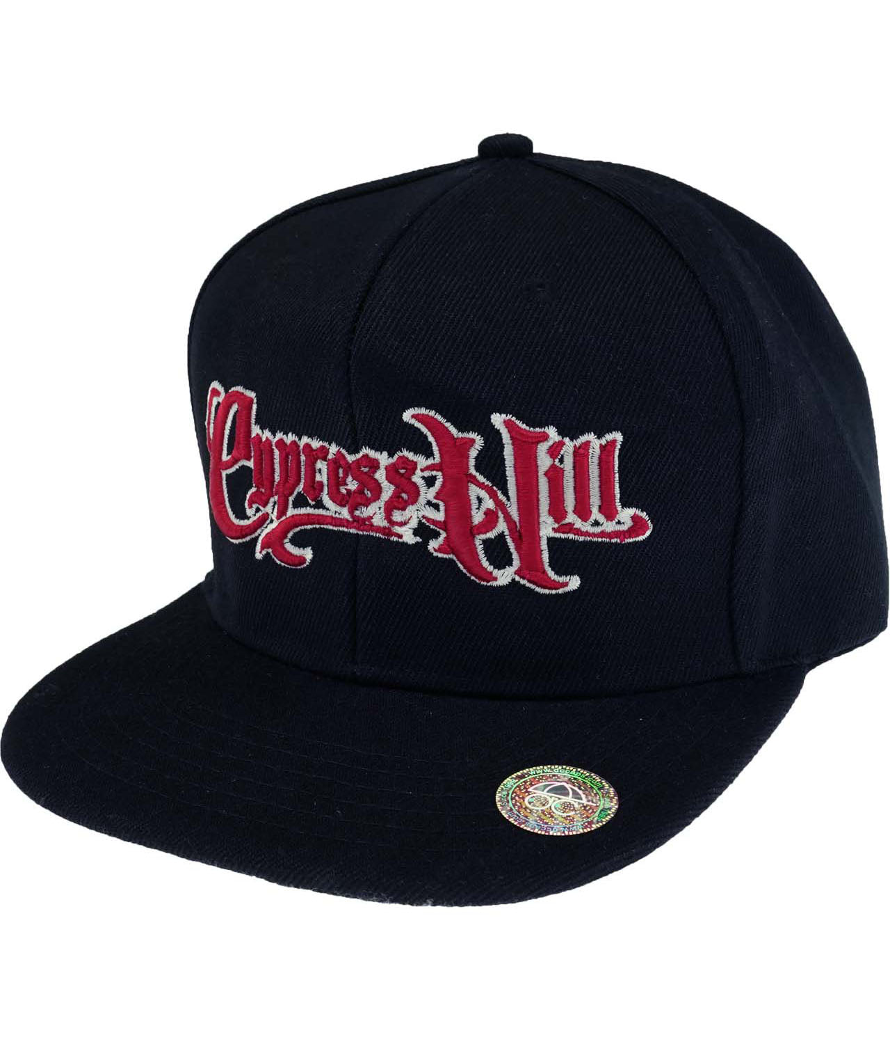 Script Logo Snapback Hat Baseball Cap