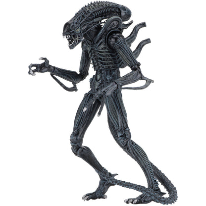 Blue Alien Warrior Action Figure Back