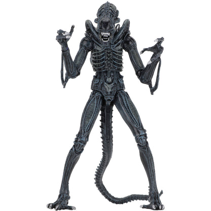 Blue Alien Warrior Action Figure Front