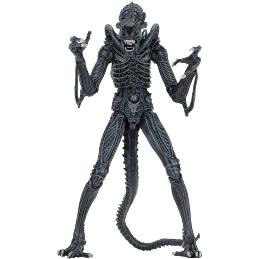 Blue Alien Warrior Action Figure Front