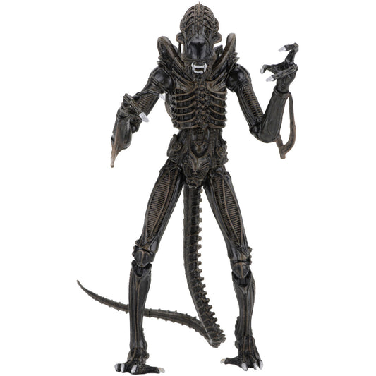 Brown Alien Warrior Action Figure Front