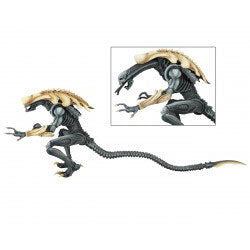 Alien Chrsyalis Action Figure Front