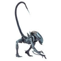 Alien Arachnoid Action Figure Front