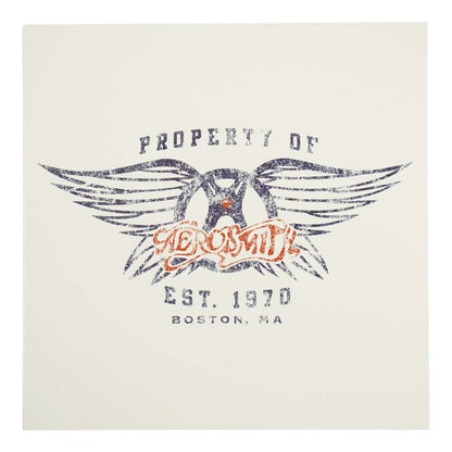 Aerosmith Wings Post Card Front