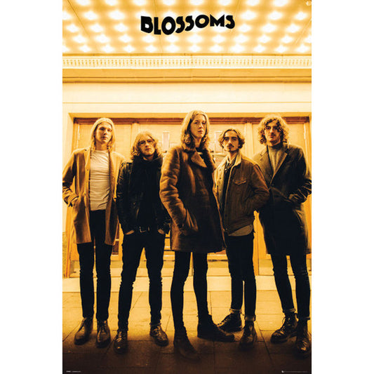 Blossoms Band Domestic Poster