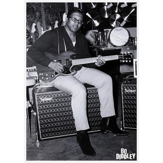 Bo Diddley Bo Import Poster