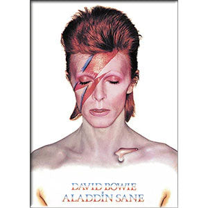 David Bowie Aladdin Sane Magnet Front