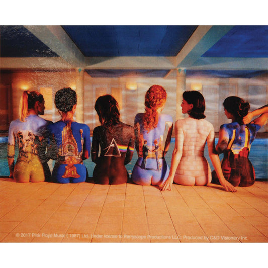 Pink Floyd Painted Bodies Sticker Front