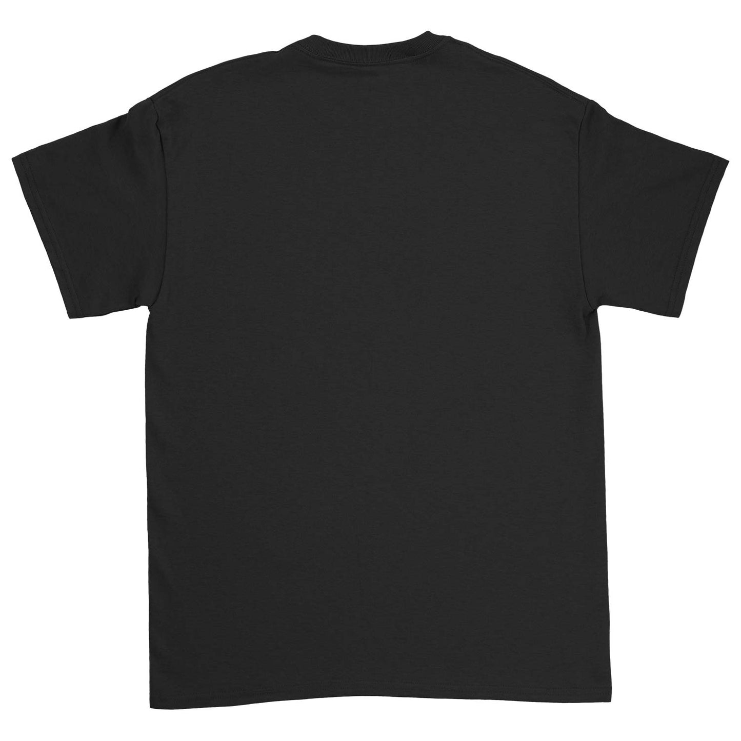 Alice In Chains Dirt Tee T-shirt Back