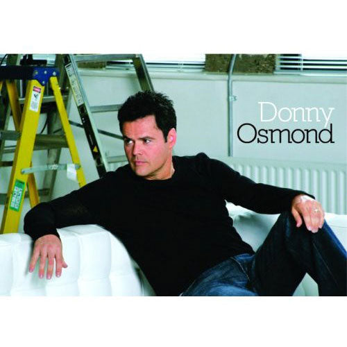 Donny Osmond On Couch Post Card Front