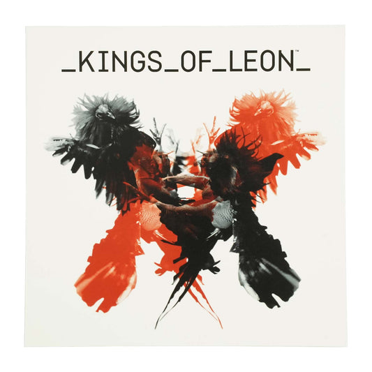 Kings Of Leon Only By Night Greeting Card Front