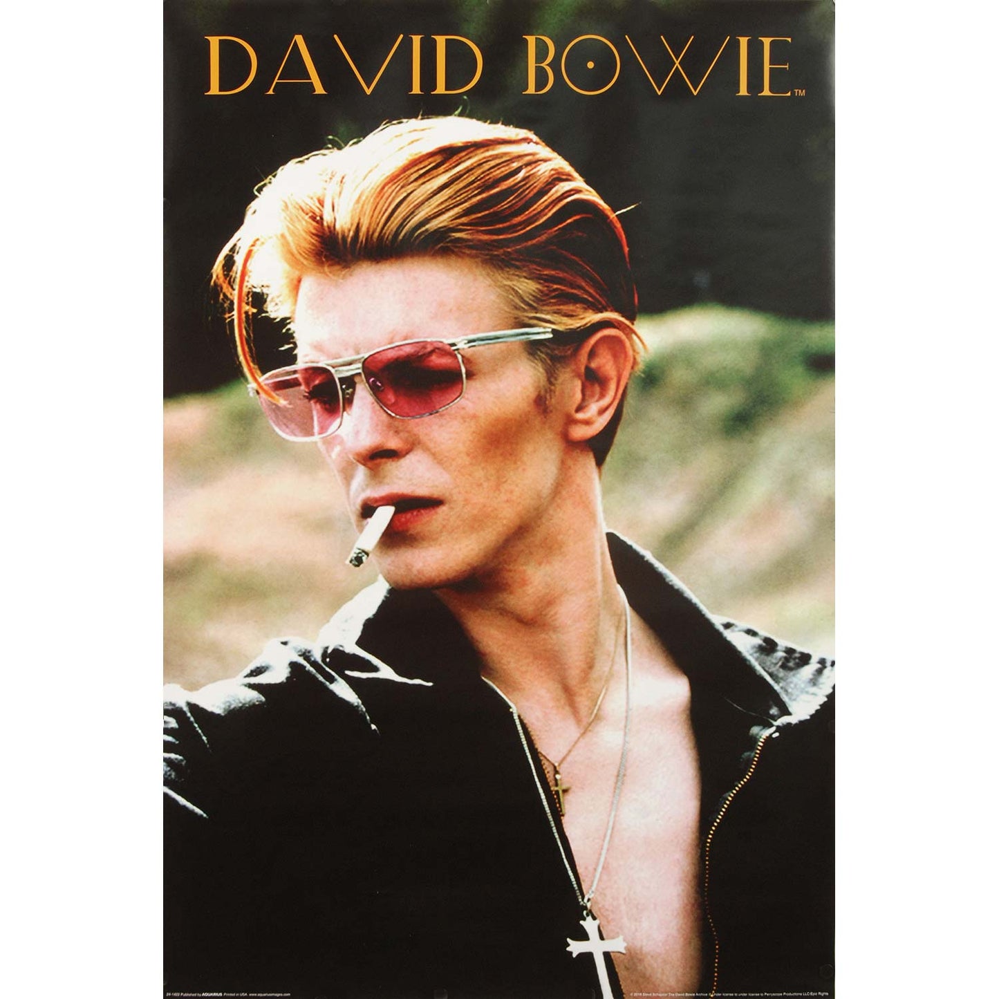 David Bowie Rebel Domestic Poster