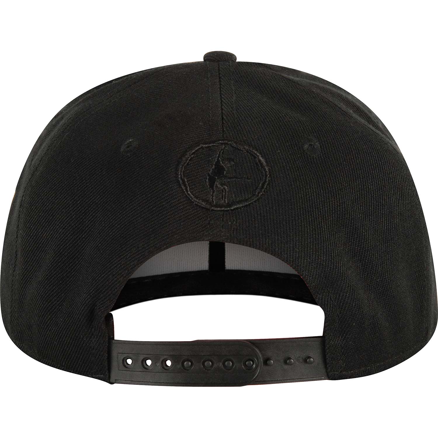 AC/DC Canon Pop-Art Snapback Baseball Cap Back