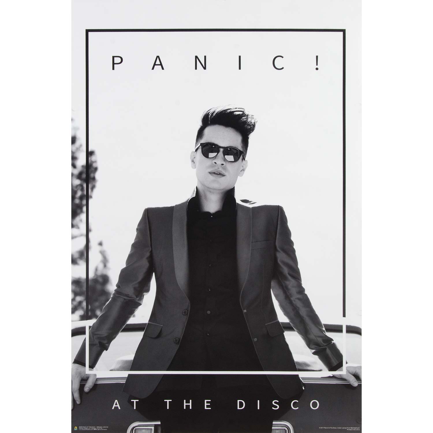 Panic! At The Disco B & G Brendon Domestic Poster