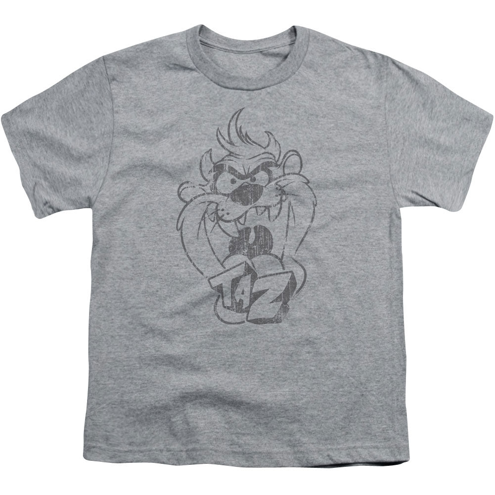 Looney Tunes Faded Taz Youth T-shirt Front