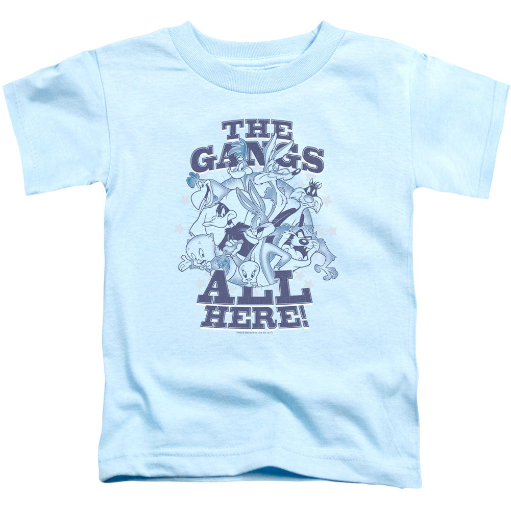 Looney Tunes Blue Gang Toddler Childrens T-shirt Front