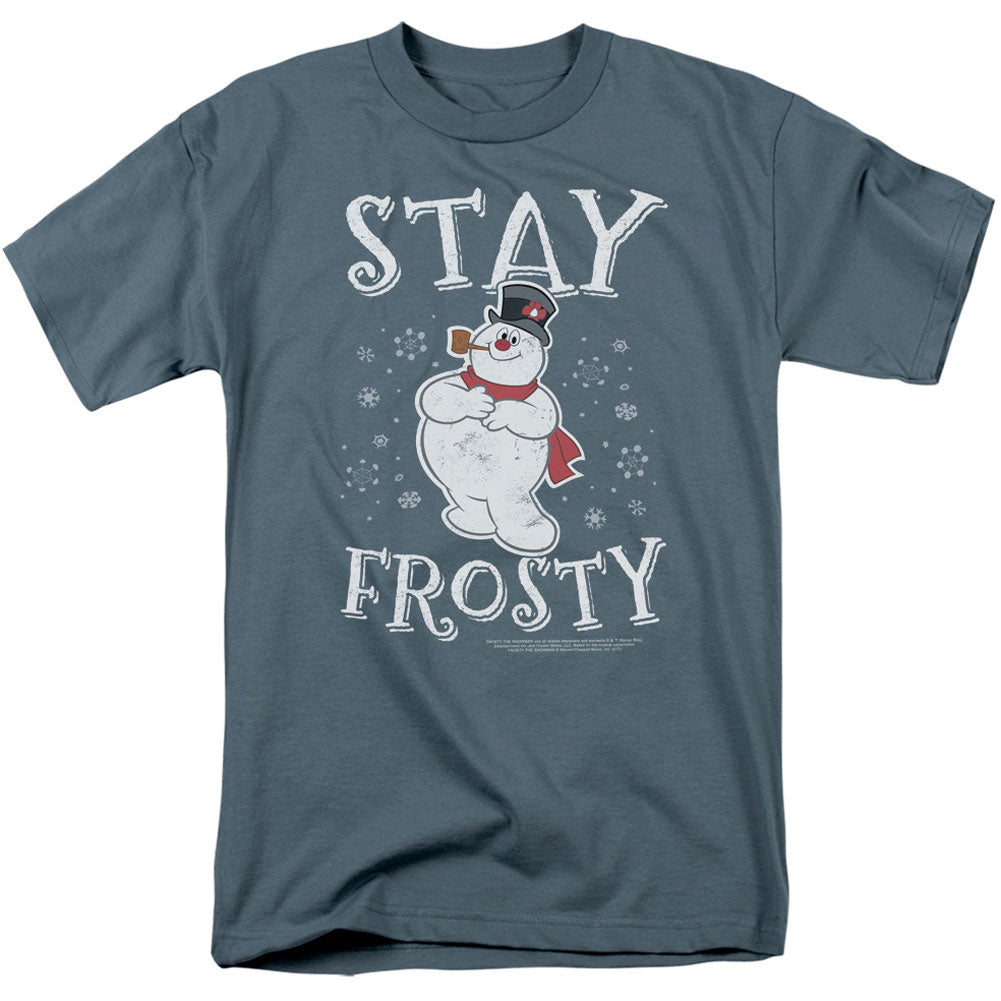 Frosty The Snowman Stay Frosty Adult T-shirt Front