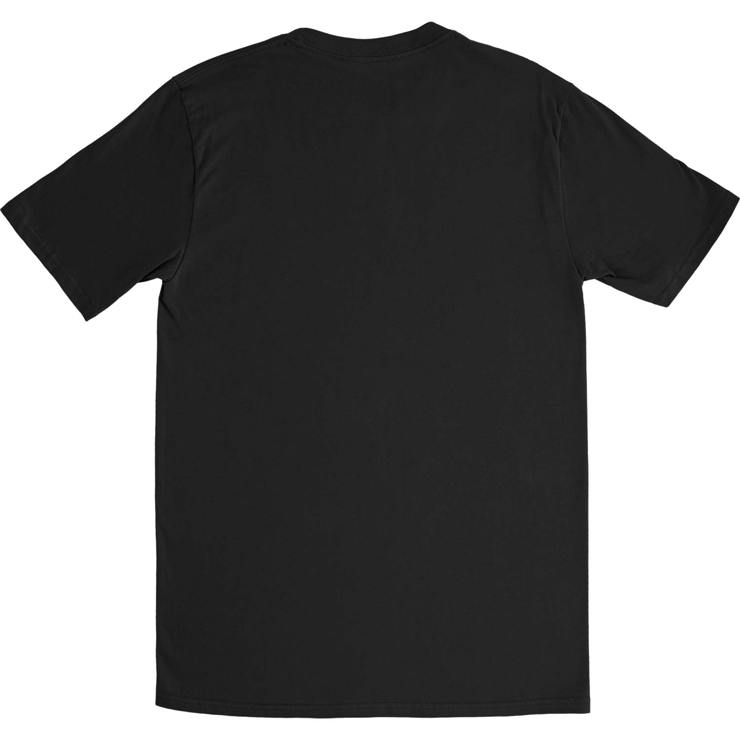 Eagles Greatest Hits Slim Fit T-shirt Back