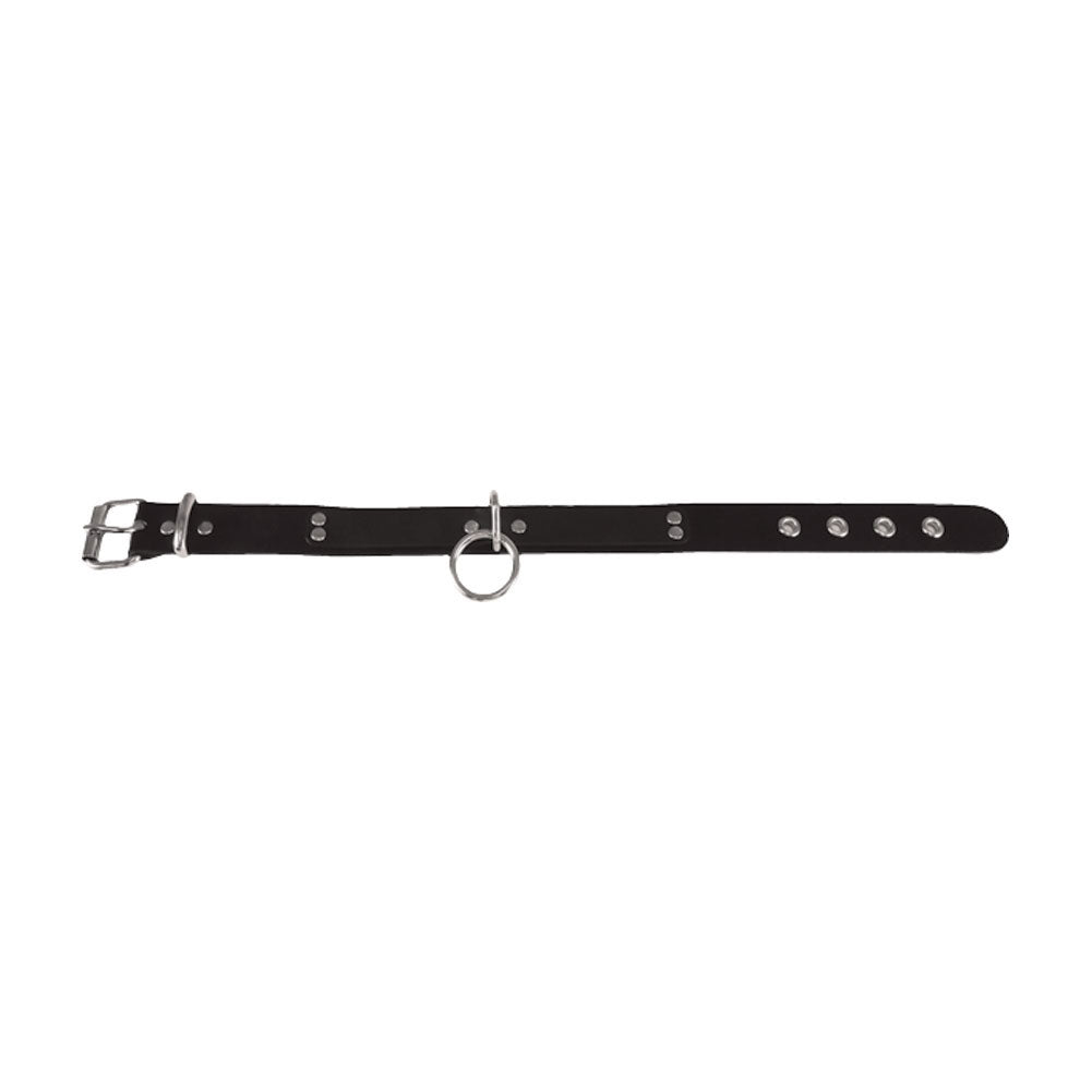 Leather Choker Choker