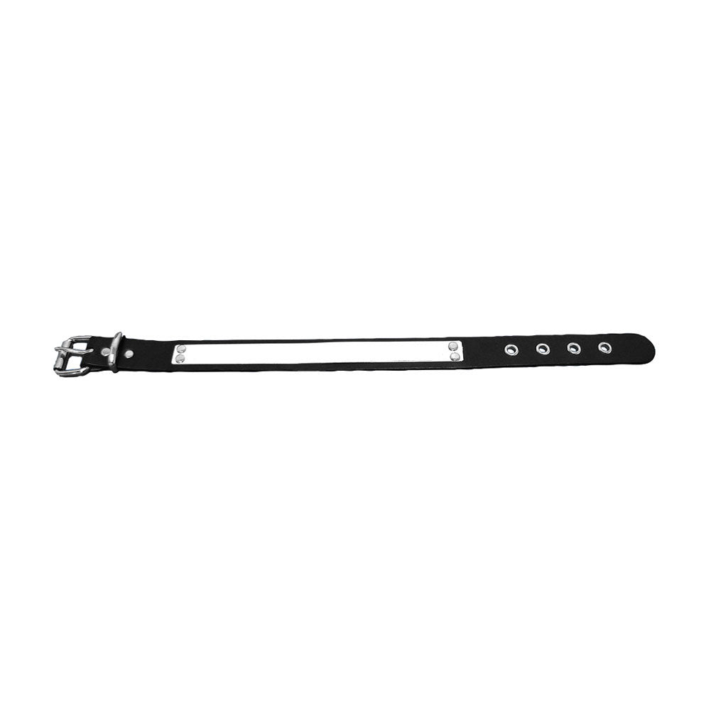 Leather Choker Choker
