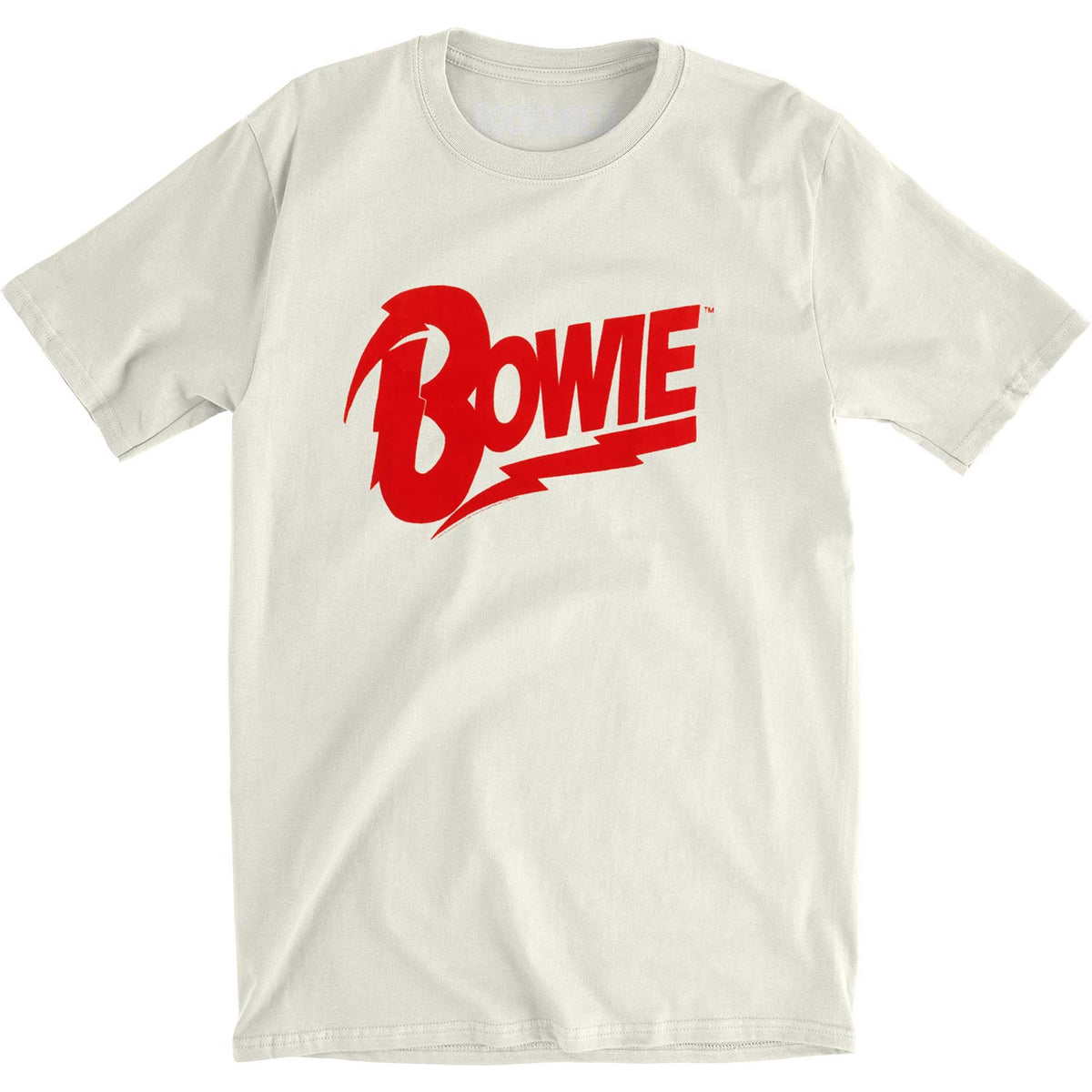 David Bowie Flocked Duke Vintage T-shirt Front