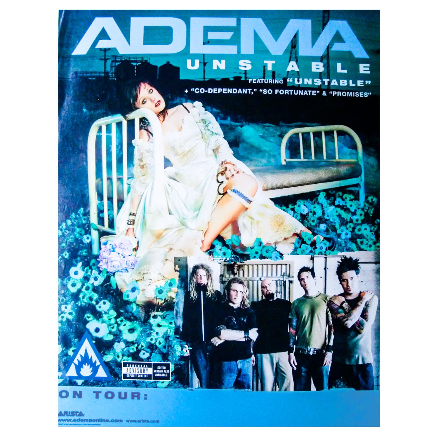 Concert Promo Poster