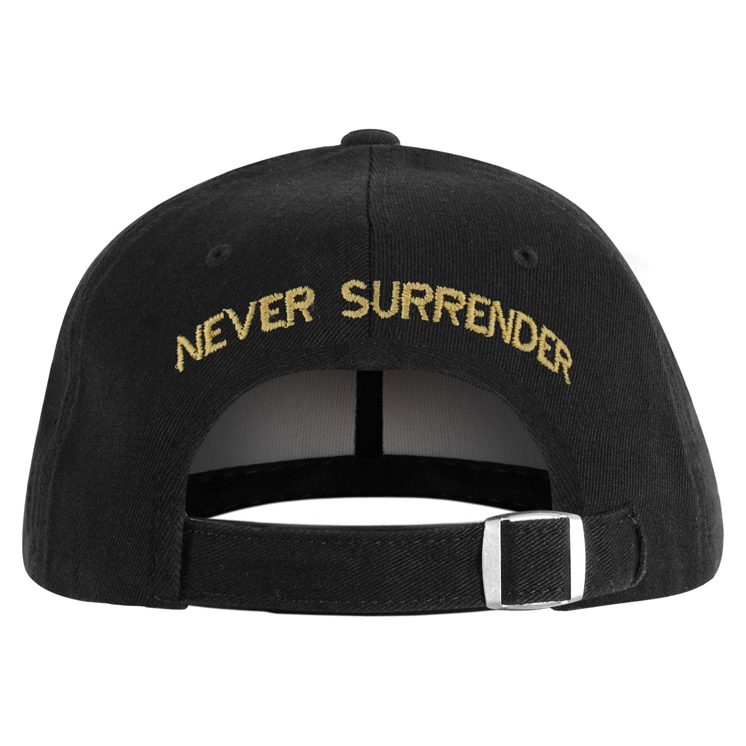 Triumph Never Surrender Hat Baseball Cap Back