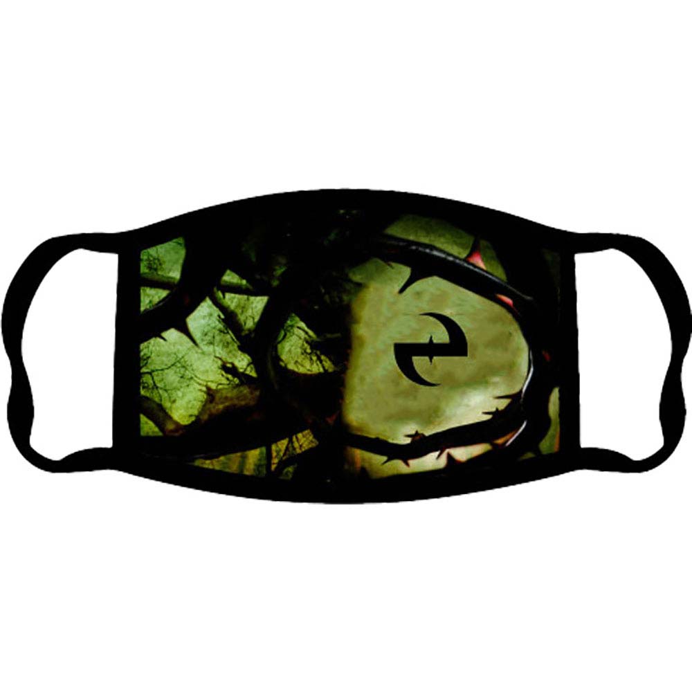 Evanescence Anywhere But Here Face Mask Front