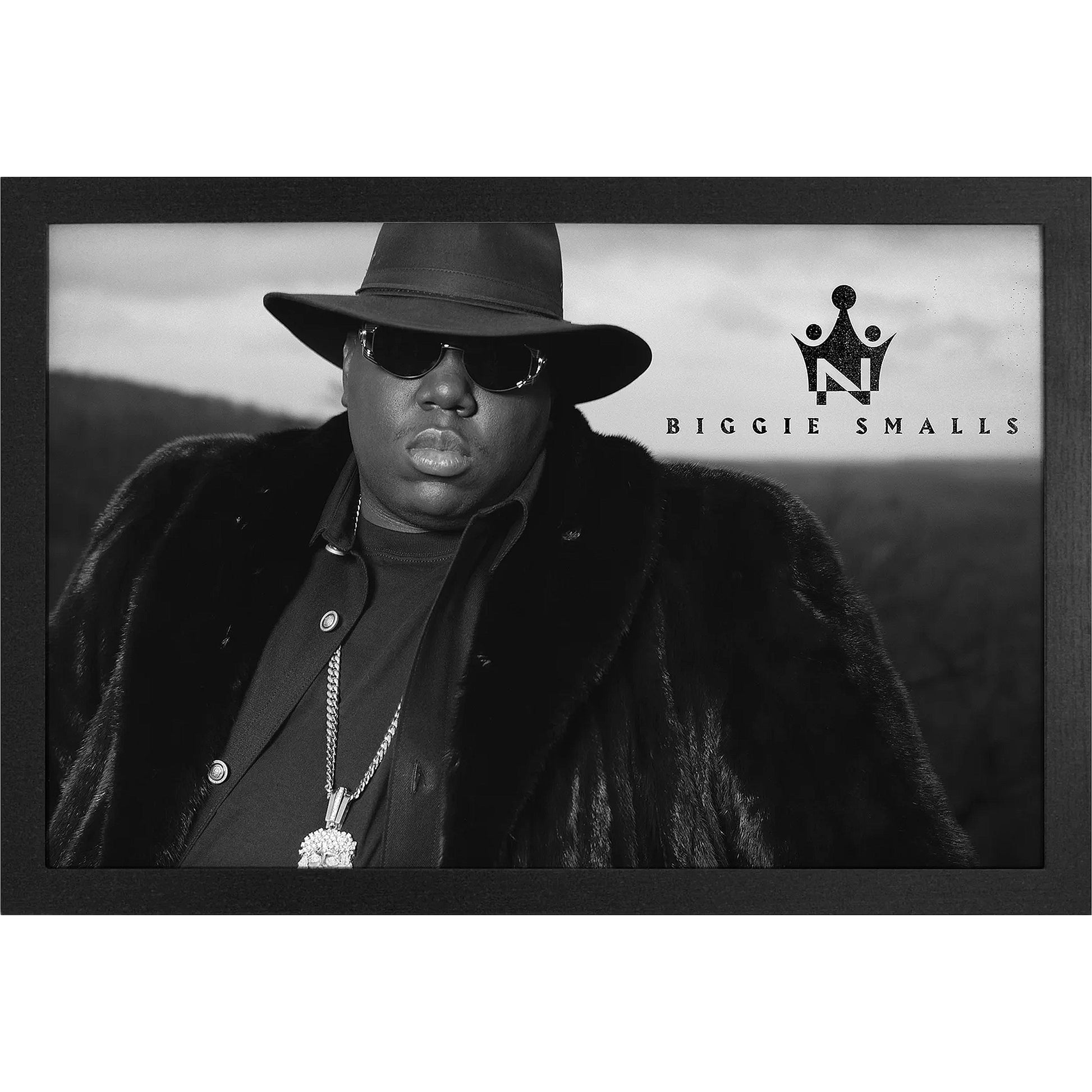 Sunglasses Framed Wall Art