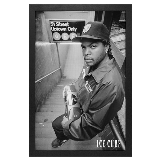 Ice Cube Subway Stairs Framed Wall Art Front
