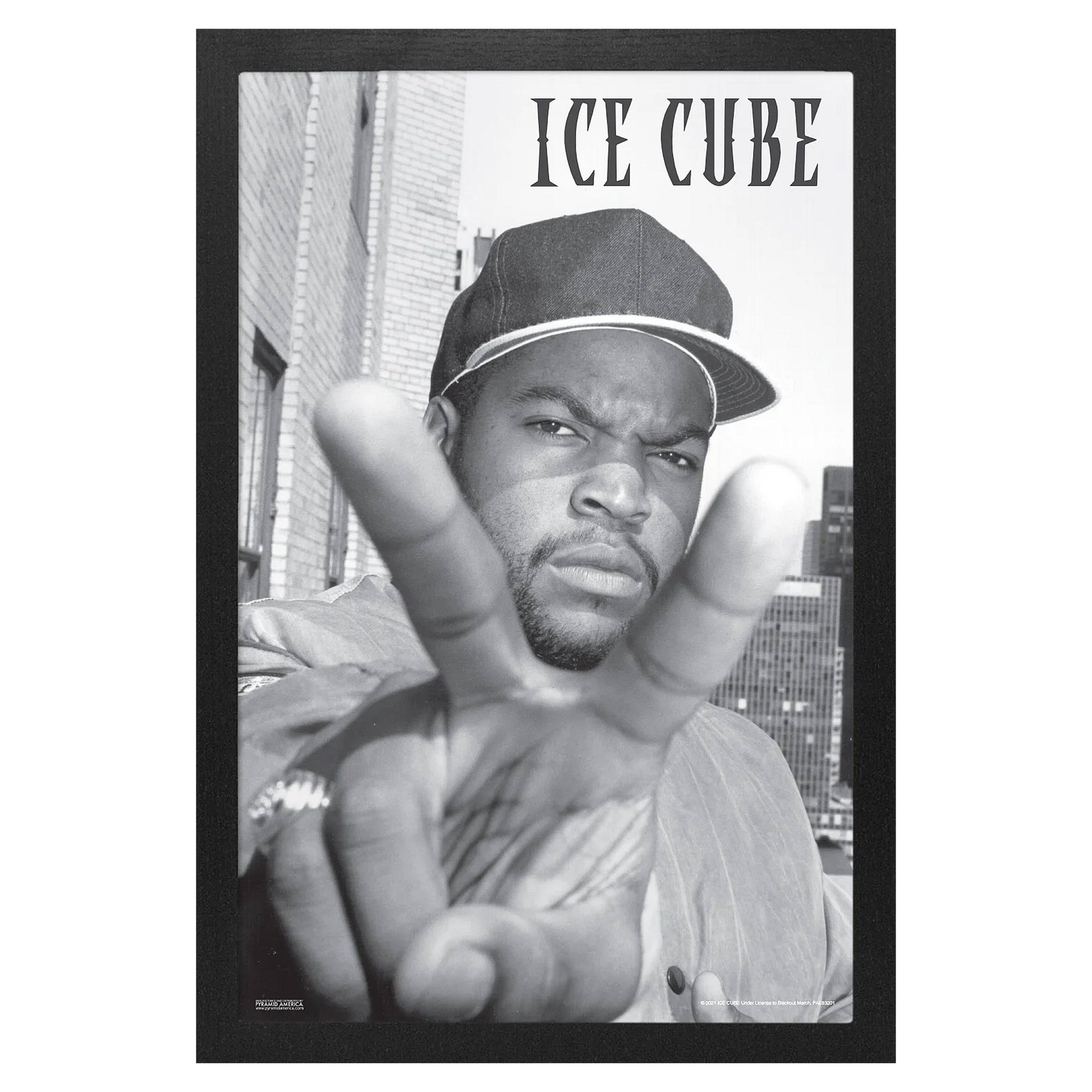 Peace Fingers Framed Wall Art