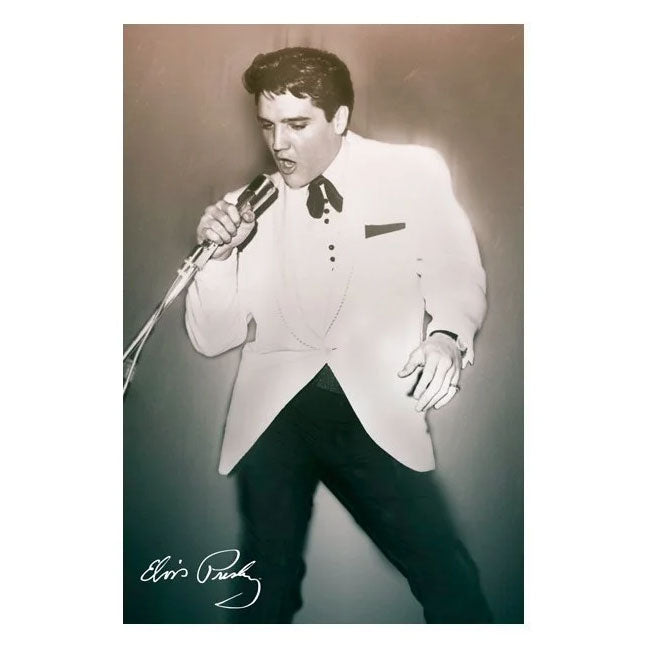 Elvis Presley Concert Domestic Poster Front