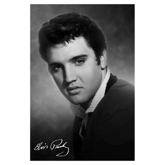 Elvis Presley The King Domestic Poster Front