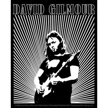 David Gilmour Lines Logo Sticker Front
