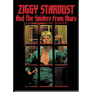 David Bowie Ziggy Window Magnet Front