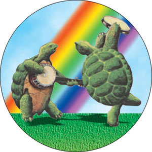 Grateful Dead Terrapins Button Front