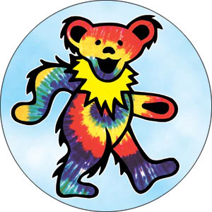 Grateful Dead Tie Dye Bear Button Front