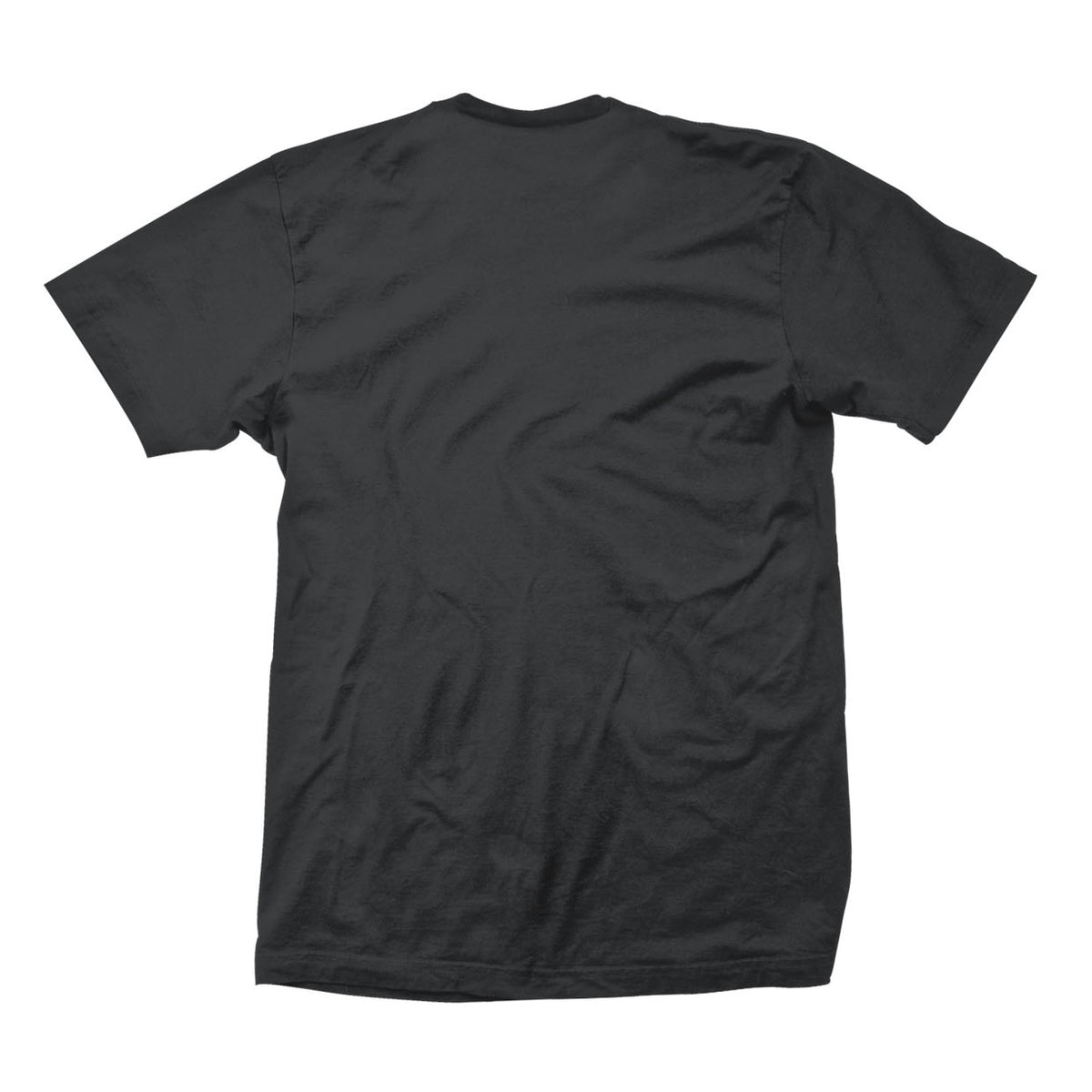 Green Day American Idiot T-shirt Back