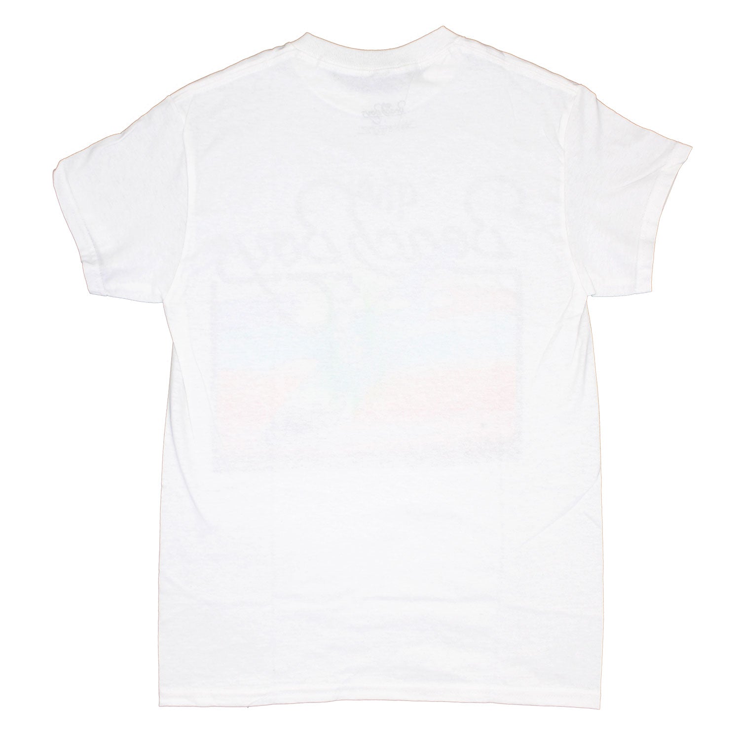 Beach Boys Sunset Surfboard T-shirt Back