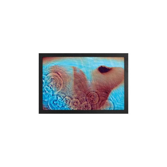 Meddle Framed Wall Art